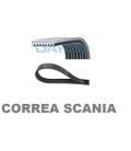 CORREA TRAPECIAL POLI V SCANIA