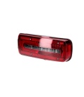 PILOTO TRASERO LEDS MAN EURO 6