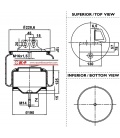 SUSPENSION STRALIS CHASIS 